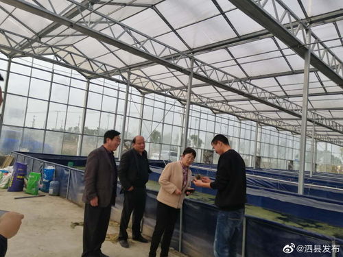 安徽宿州泗县畜牧水产中心领导班子深入一线，开展工厂化水产养殖市场专题调研