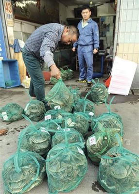 从“蟹蝴蝶”变迁看市场消费趋势——一次深入的市场调查