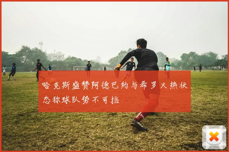 哈克斯盛赞阿德巴约与希罗火热状态称球队势不可挡
